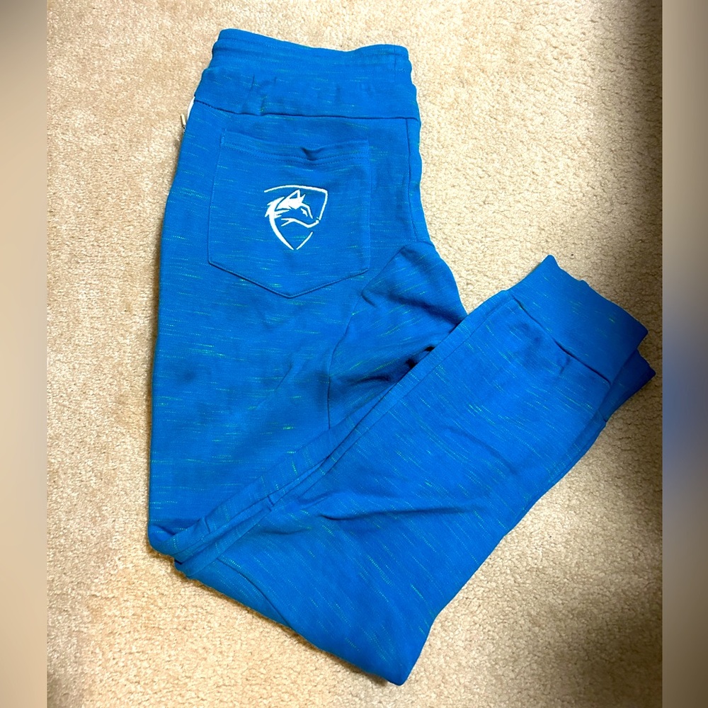 Alphalete OG Terry Joggers